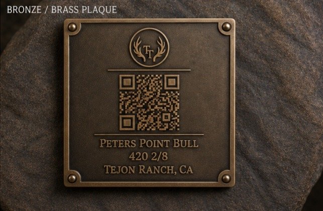 Bronze Plaque example
