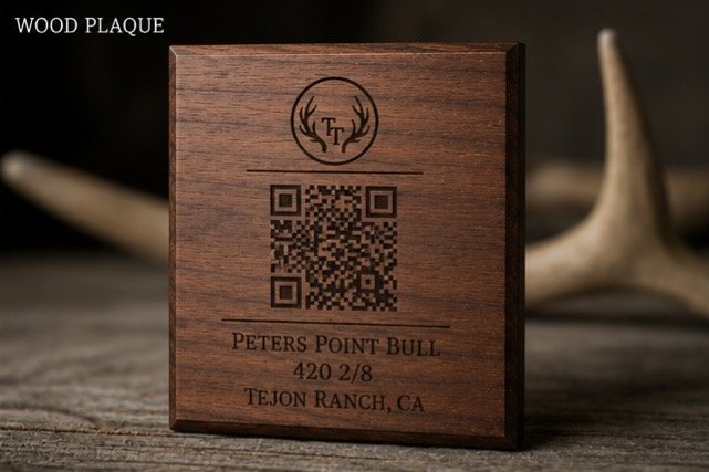 Wood Plaque example